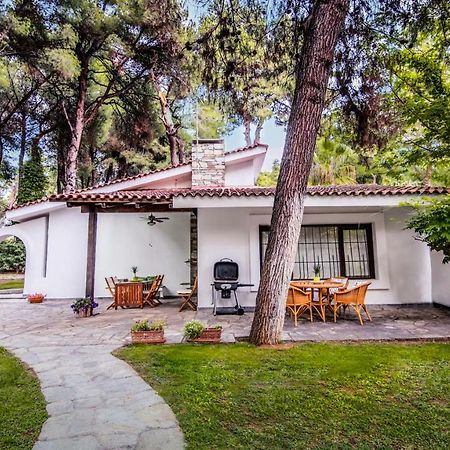 Beautiful Holiday Villa In Sani Sani  Extérieur photo