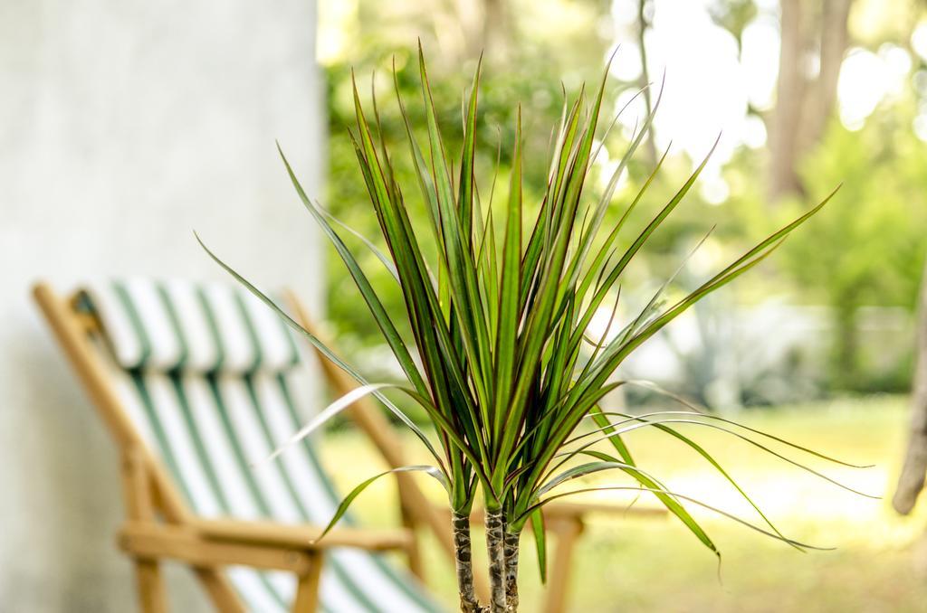 Beautiful Holiday Villa In Sani Sani  Extérieur photo